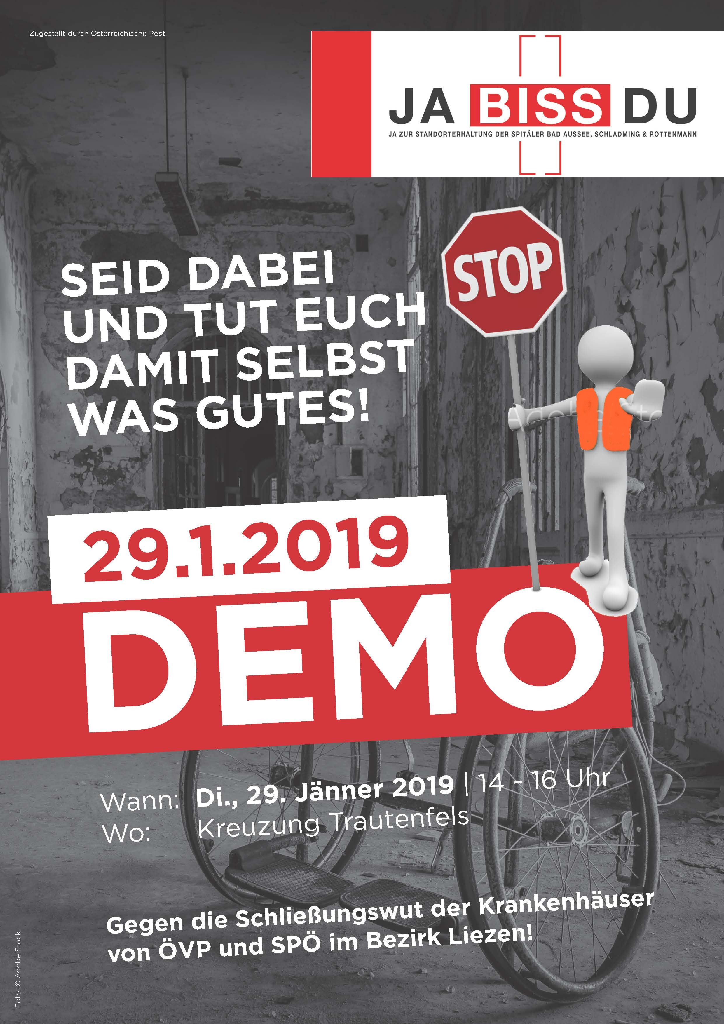 flyer biss demo trautenfels2019 a2